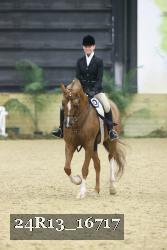 24R13_16717 thumbnail