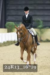 24R13_16719 thumbnail