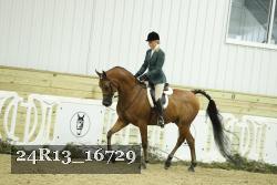 24R13_16729 thumbnail