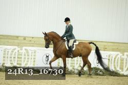 24R13_16730 thumbnail