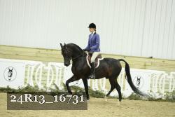 24R13_16731 thumbnail