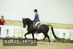 24R13_16732 thumbnail
