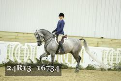 24R13_16734 thumbnail