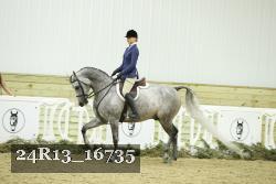 24R13_16735 thumbnail