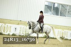 24R13_16736 thumbnail
