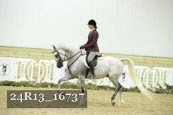 24R13_16737 thumbnail