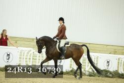 24R13_16739 thumbnail