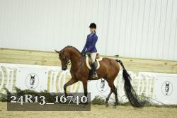 24R13_16740 thumbnail