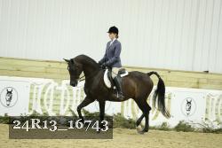 24R13_16743 thumbnail