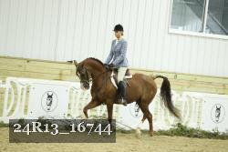 24R13_16744 thumbnail