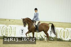 24R13_16745 thumbnail
