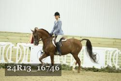 24R13_16746 thumbnail