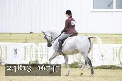 24R13_16747 thumbnail