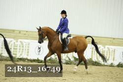 24R13_16749 thumbnail
