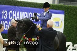 24R13_16799 thumbnail