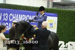 24R13_16800 thumbnail
