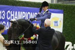 24R13_16801 thumbnail