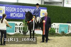 24R13_16803 thumbnail