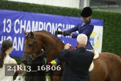 24R13_16806 thumbnail