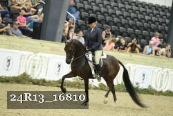 24R13_16810 thumbnail