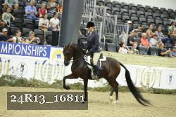 24R13_16811 thumbnail