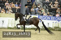 24R13_16813 thumbnail