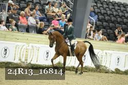 24R13_16814 thumbnail