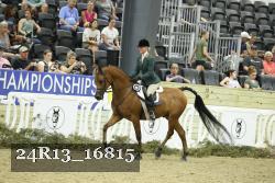 24R13_16815 thumbnail