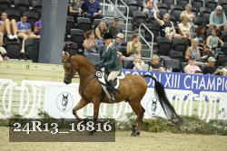 24R13_16816 thumbnail
