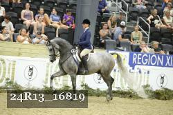 24R13_16819 thumbnail