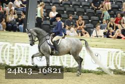 24R13_16821 thumbnail