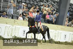24R13_16822 thumbnail