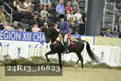 24R13_16823 thumbnail