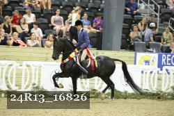 24R13_16826 thumbnail