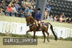 24R13_16830 thumbnail