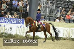 24R13_16832 thumbnail