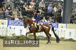 24R13_16833 thumbnail