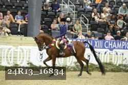 24R13_16834 thumbnail