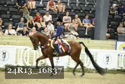 24R13_16837 thumbnail