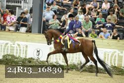 24R13_16839 thumbnail
