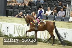 24R13_16840 thumbnail
