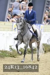 24R13_16842 thumbnail