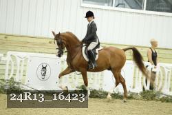24R13_16423 thumbnail