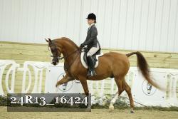 24R13_16424 thumbnail
