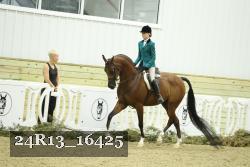 24R13_16425 thumbnail