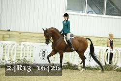 24R13_16426 thumbnail
