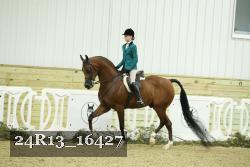24R13_16427 thumbnail