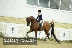 24R13_16429 thumbnail