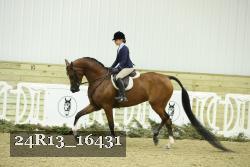 24R13_16431 thumbnail