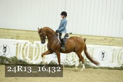 24R13_16432 thumbnail